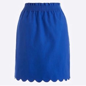 J. Crew skirt